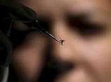 В Бразилии из четырех тысяч младенцев с подозрением на микроцефалию вирус Зика нашли у шести