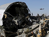 В ФСБ считают, что за взрывом российского авиалайнера Airbus A321 могли стоять члены турецкой радикальной националистической организации "Серые волки", которая связана с "Исламским государством"
