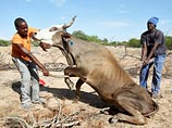 Президент Зимбабве объявил чрезвычайную ситуацию из-за сильной засухи
