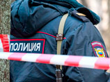 По инциденту с девочкой, которую засыпал снегом экскаваторщик в Екатеринбурге, завели уголовное дело По инциденту с девочкой, которую засыпал снегом экскаваторщик в Екатеринбурге, завели уголовное дело