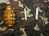 В Челябинске полицейские при обыске автомобиля нашли боевую гранату, спрятанную внутри мягкой игрушки. Боевая часть и взрыватель были спрятаны раздельно