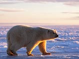 Россия подала заявку на новые территории в Арктике, договорившись с конкурентами