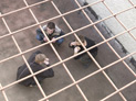 В правоохранительных структурах дали понять, что заняли активную позицию по отношению к тому, что происходит в СИЗО-4 В правоохранительных структурах дали понять, что заняли активную позицию по отношению к тому, что происходит в СИЗО-4