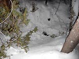 На Урале арестована бизнес-леди и ее сожитель, которые убивали людей, бравших для них кредиты На Урале арестована бизнес-леди и ее сожитель, которые убивали людей, бравших для них кредиты