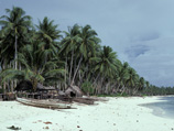 Синехвостые вараны - именно к этому виду относятся ящерицы - были найдены на Муссау - крупнейшем из островов Сент-Маттайяс провинции Новая Ирландия в составе Папуа - Новой Гвинеи