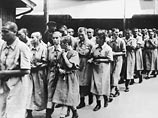 Освенцим был самым большим концентрационным лагерем, организованным нацистским режимом