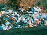 В США экологи, собиравшие мусор вдоль трассы, нашли 100 пар неношеной обуви (ФОТО)