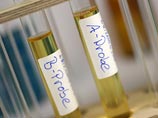 Всероссийская федерация плавания отвергла обвинения газеты The Times Всероссийская федерация плавания отвергла обвинения газеты The Times