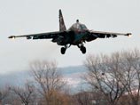 Власти Приморья обещают возместить пенсионеру ущерб от упавшего на участок Су-25
