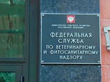 Россельхознадзор назвал виновных в дискредитации кампании по импортозамещению Россельхознадзор назвал виновных в дискредитации кампании по импортозамещению