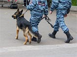 В результате рейс отложили, специалисты начали проверку самолета и багажа, на место прибыли все экстренные службы В результате рейс отложили, специалисты начали проверку самолета и багажа, на место прибыли все экстренные службы