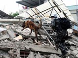 Спасавший людей из-под завалов в Эквадоре пес скончался от изнеможения