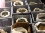 В Испании рабочие нашли 600 килограммов бронзовых римских монет