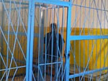 В Новосибирске арестован "Джек Потрошитель", подозреваемый в убийстве 17 девушек В Новосибирске арестован "Джек Потрошитель", подозреваемый в убийстве 17 девушек