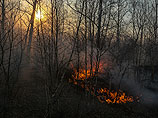 Особый противопожарный режим из-за угрозы лесных пожаров введен в большинстве регионов России