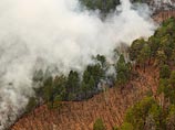 Эксперты отмечают, что принимать адекватные меры для тушения пожаров МЧС и Рослесхозу мешает занижение площади территорий, на которых бушует огонь