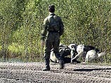 В Калининградской области убит российский пограничник