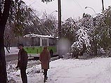 Во многих населенных пунктах под тяжестью налипшего снега оборвались электрические провода Во многих населенных пунктах под тяжестью налипшего снега оборвались электрические провода