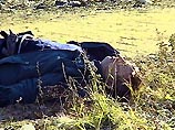 Виктор Иванов был застрелен в Екатеринбурге рядом со своим домом. Виктор Иванов был застрелен в Екатеринбурге рядом со своим домом.