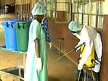 Более 40 человек умерли от лихорадки Эбола в Уганде