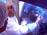 Американским ученым удалось оживить бактерию, обнаруженную в куске соли возрастом 250 млн. лет Американским ученым удалось оживить бактерию, обнаруженную в куске соли возрастом 250 млн. лет