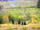 Талибы нанесли ракетный удар по Таджикистану