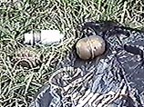 В Екатеринбурге обнаружены два пакета с боеприпасами