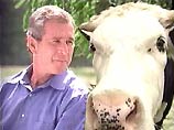 Джордж Буш: Коровы любят разговаривать со мной