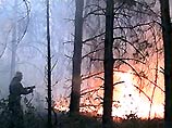 Из-за лесных пожаров был остановлен пятый энергоблок Нововоронежской АЭС