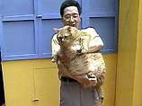 На Тайване прошел конкурс на звание самого толстого кота острова