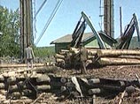 МИД России опровергает, что Корея расплачивается за долги рабочими на лесоповалах в Сибири МИД России опровергает, что Корея расплачивается за долги рабочими на лесоповалах в Сибири
