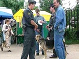 В Москве для охраны правопорядка будет использоваться значительно больше собак и лошадей