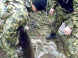 Правоохранительные органы нашли тайник в ходе спецоперации по выявлению лиц, причастных к преступлениям в составе чеченских бандформирований