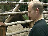 Путину показали "настоящую" русскую деревню Верхние Мандроги
