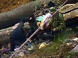 Из 86 человек, погибших во время катастрофы российского военного самолета близ Батуми, грузинским и российским спасателям и специалистам удалось опознать тела 30 человек. Среди опознанных - 4 из 8 погибших детей