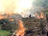 Во время съемок  фильма о войне в Чечне выгорели  65 гектаров леса