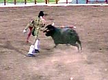 Во время корриды в Ереване матадор убил вырвавшегося на трибуны быка