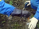 Собранную ртуть отправили в лабораторию управления МЧС. Проведена также детоксикация площадки, на которой нашли пакет с ядовитым веществом Собранную ртуть отправили в лабораторию управления МЧС. Проведена также детоксикация площадки, на которой нашли пакет с ядовитым веществом
