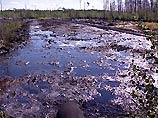 Вылившаяся нефть загрязнила 0,21 га почвы, а около двух кубометров топлива попало в реку Кармасай