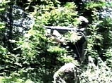 Из Афганистана в Боснию направляются люди бен Ладена
Из Афганистана в Боснию направляются люди бен Ладена