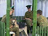 В Приморском крае пресечена попытка контрабанды частей диких животных В Приморском крае пресечена попытка контрабанды частей диких животных