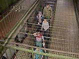 Следствие не исключает причастности кого-либо из сотрудников Бутырки к факту побега. Следствие не исключает причастности кого-либо из сотрудников Бутырки к факту побега.