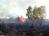 В Приморском крае горит тайга