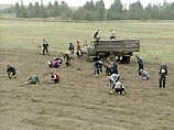 Колхозники вышли на картофельное поле за зарплатой