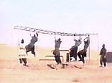Северный альянс сообщает, что США бомбили не шесть, а восемь афганских городов Северный альянс сообщает, что США бомбили не шесть, а восемь афганских городов