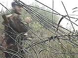 Боевики, засевшие в Кодорском ущелье, пытаются вырваться из окружения