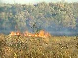 Пожары в Хабаровском крае добрались до населенных пунктов