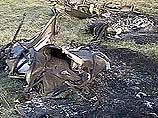 В Приморье на аэродроме морской авиации Тихоокеанского флота в поселке Новонежино в воскресенье разбился дельтаплан. Два человека погибли