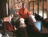 В комедии "Доктор Дулиттл 2" американскому  Айболиту поможет звериный профсоюз