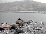 Российские погранвойска ведут бои с отступающими на таджикскую территорию талибами